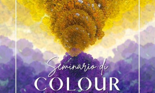 Seminario base Colour Mapping